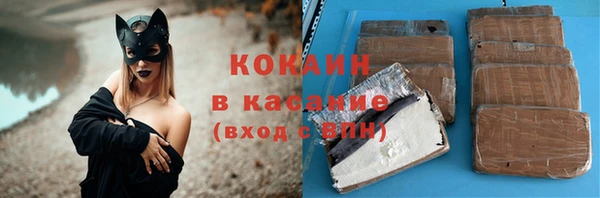 твердый Абаза