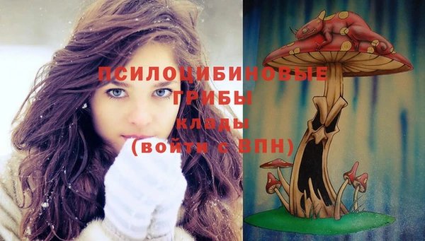 прущий лед Россошь