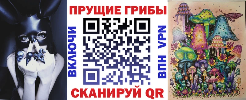 как найти закладки  Алейск  Псилоцибиновые грибы Psilocybine cubensis 