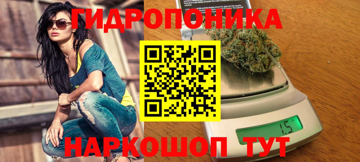 Алейск  Каннабис планчик  Бошки Шишки семена  Вход с VPN  Бошки марихуана семена  Шишки марихуана Bruce Banner 